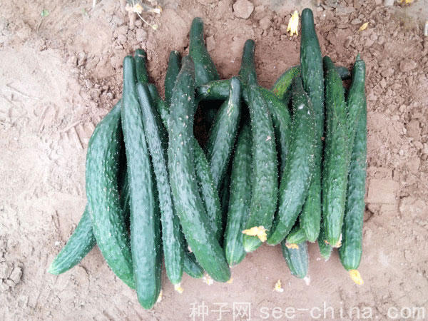 點擊在新窗口中打開