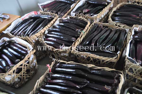 點擊在新窗口中打開