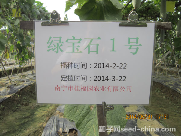 點(diǎn)擊在新窗口中打開