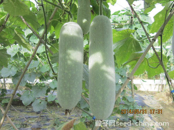 點(diǎn)擊在新窗口中打開