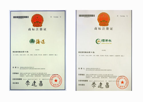 點擊在新窗口中打開