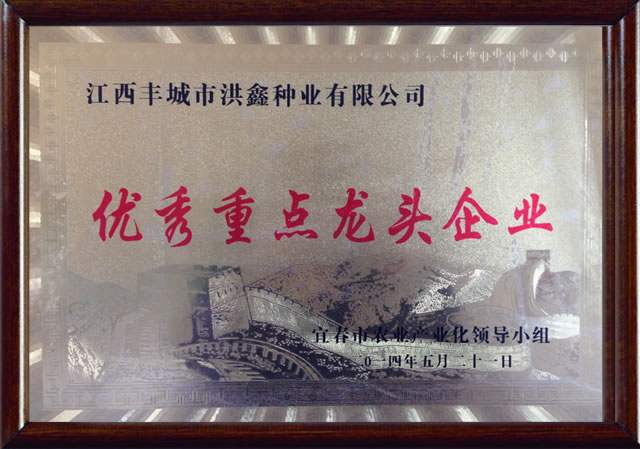 點(diǎn)擊在新窗口中打開