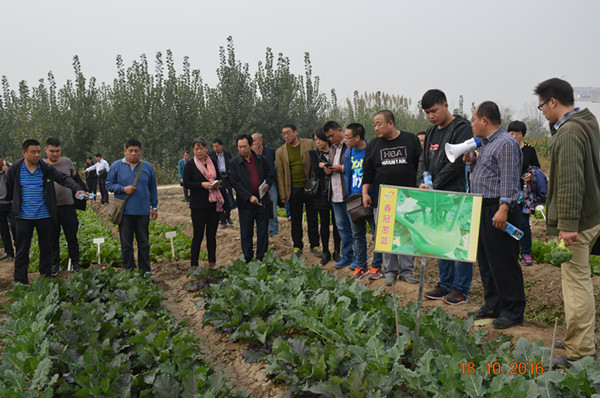 點擊在新窗口中打開