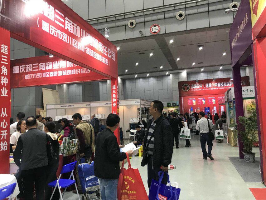 點(diǎn)擊在新窗口中打開(kāi)